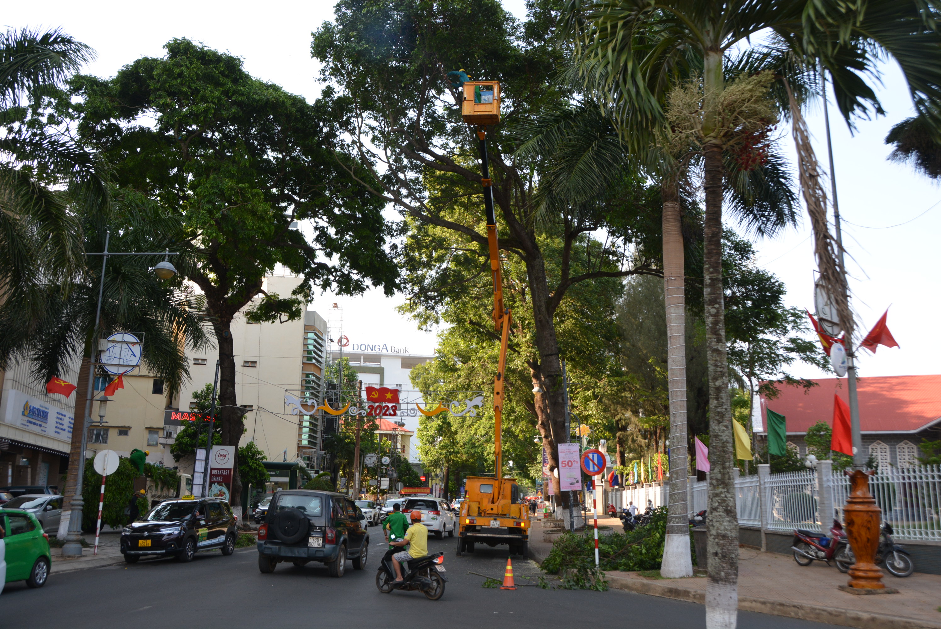 TP.Buôn Ma Thuột: Chỉ đạo đảm bảo an toàn và tăng cường công tác kiểm tra, xử lý các hành vi vi phạm quy định quản lý cây xanh đô thị trên địa bàn